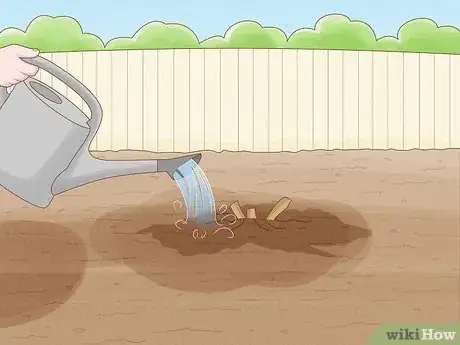 Immagine titolata Plant Peonies Step 13