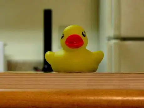 Immagine titolata Shallow_focus_on_rubber_duck