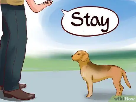 Immagine titolata Train a Guard Dog Step 5