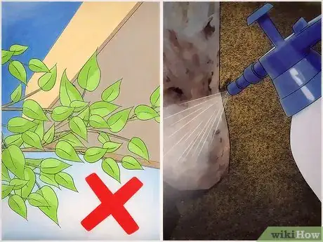 Immagine titolata Get Rid of Mites Step 13