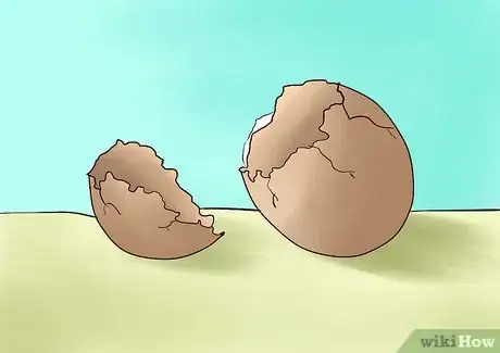 Immagine titolata Feed Worm Farm Worms Step 1Bullet7
