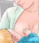 Prevenire la Mastite