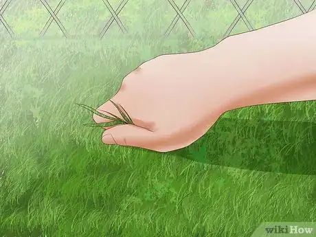 Immagine titolata Remove a Chain Link Fence Step 2