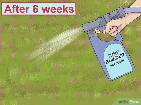 Immagine titolata Sow Grass Seed Step 12
