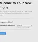 Ripristinare un iPhone