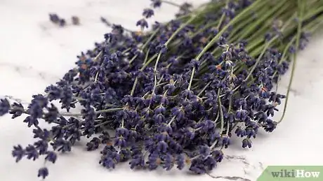 Immagine titolata Make Lavender Oil Step 2