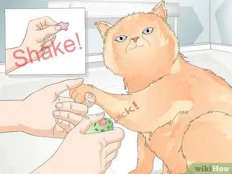 Immagine titolata Teach Your Cat to Give a Handshake Step 9