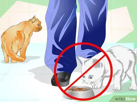 Immagine titolata Prevent a Cat from Spraying Step 4