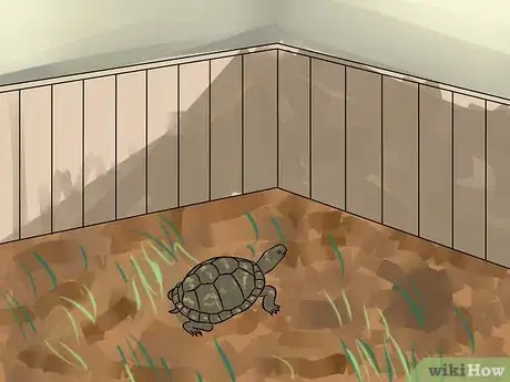 Immagine titolata Care for Your Box Turtle Step 4