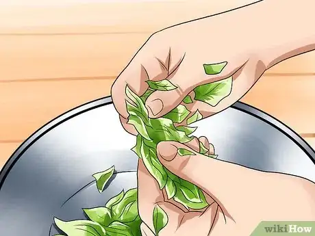 Immagine titolata Make Eucalyptus Oil Step 4