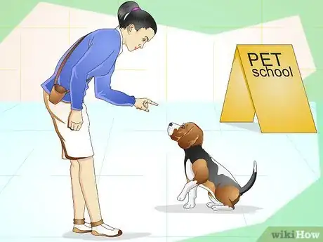 Immagine titolata Keep Your Dog Calm Outside His Crate Step 9