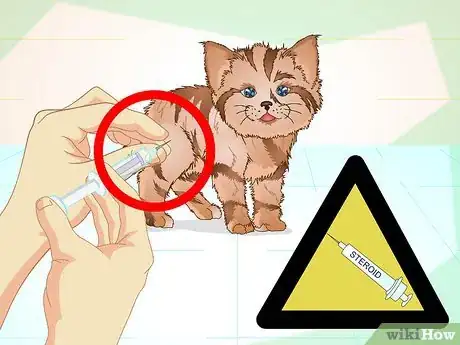 Immagine titolata Get a Sick Kitten to Eat Step 23