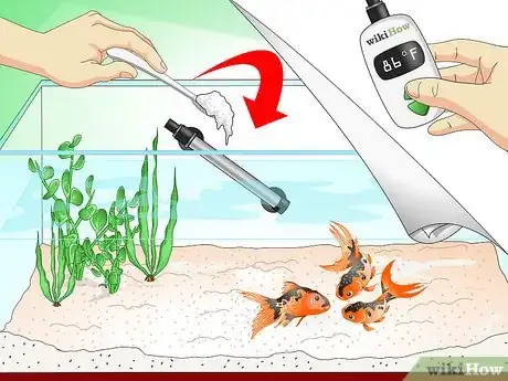 Immagine titolata Save a Dying Goldfish Step 8