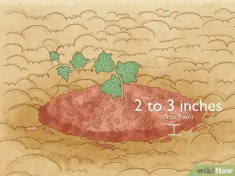Immagine titolata Plant English Ivy Step 9