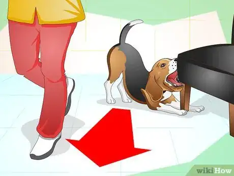 Immagine titolata Keep Your Dog Calm Outside His Crate Step 2