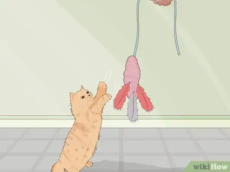 Immagine titolata Make Cat Toys out of Common Household Items Step 46