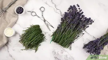 Immagine titolata Make Lavender Oil Step 1