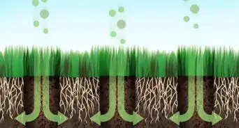 Arieggiare il Giardino