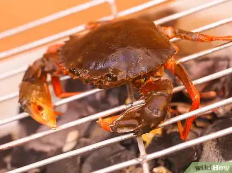 Immagine titolata Prepare Crabs Step 17