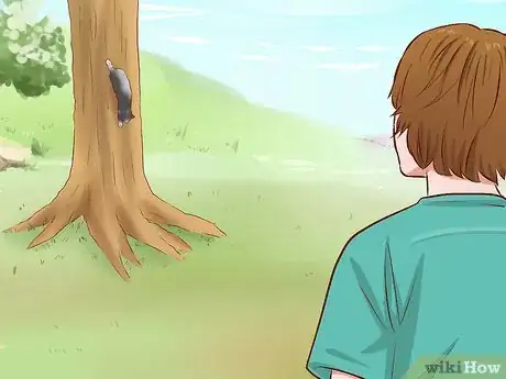 Immagine titolata Get a Cat out of a Tree Step 6