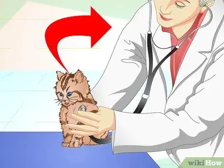 Immagine titolata Get a Sick Kitten to Eat Step 12