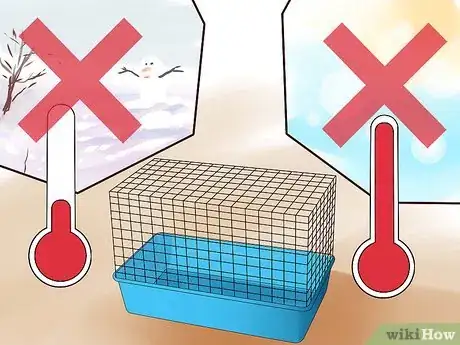 Immagine titolata Keep a Happy Hamster Step 4