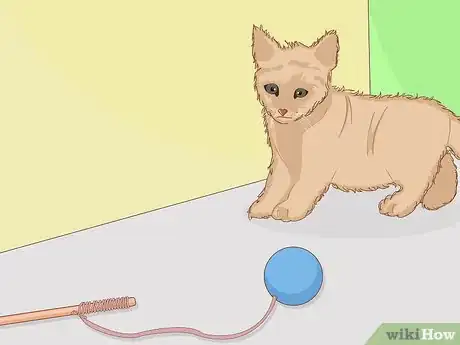 Immagine titolata Make Cat Toys out of Common Household Items Step 22