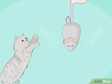 Immagine titolata Make Cat Toys out of Common Household Items Step 12