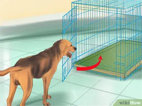 Immagine titolata Crate Train Your Dog or Puppy Step 21