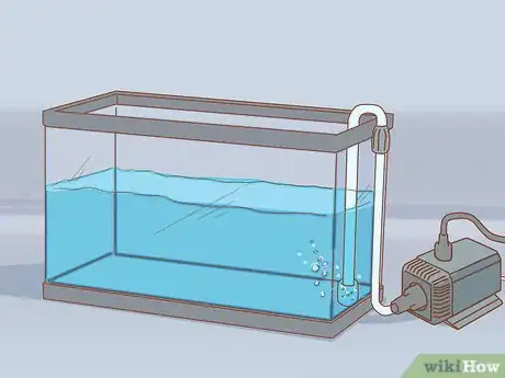 Immagine titolata Add Fish to a New Tank Step 3
