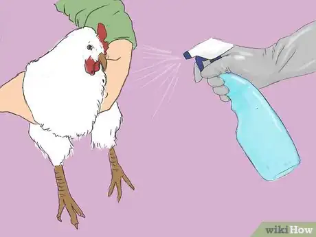 Immagine titolata Get Rid of Chicken Mites Step 11