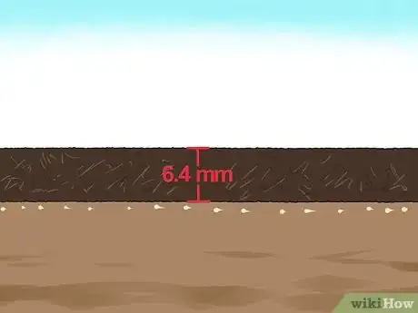 Immagine titolata Sow Grass Seed Step 10