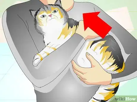 Immagine titolata Check a Cat's Temperature Step 14
