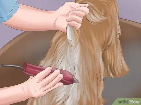 Immagine titolata Groom a Dog Step 25