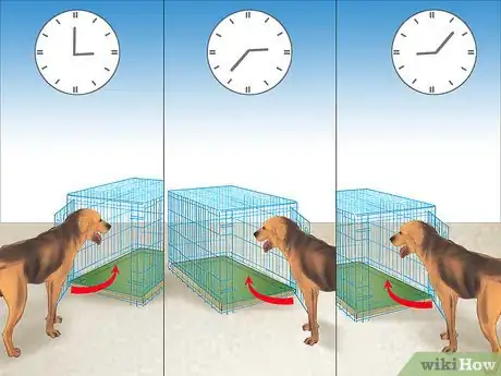 Immagine titolata Crate Train Your Dog or Puppy Step 24