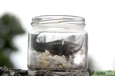 Immagine titolata Make a Stink Bomb Step 22