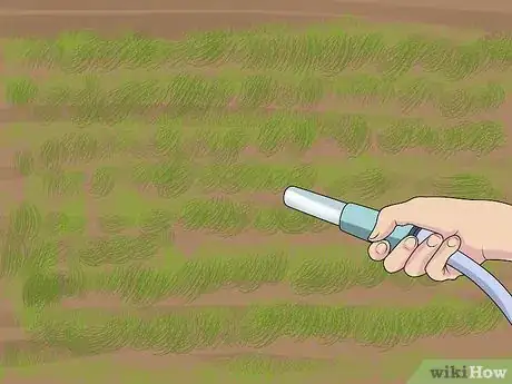 Immagine titolata Sow Grass Seed Step 11