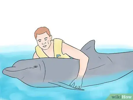 Immagine titolata Become a Dolphin Trainer Step 4