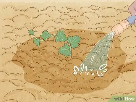 Immagine titolata Plant English Ivy Step 8