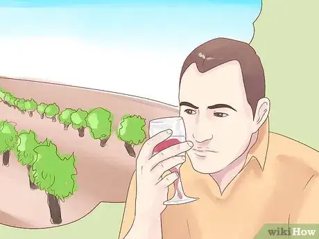 Immagine titolata Become a Wine Connoisseur Step 2