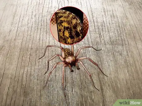 Immagine titolata Kill a Venomous Spider Step 6