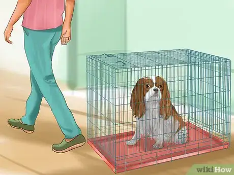 Immagine titolata Crate Train Your Dog or Puppy Step 22