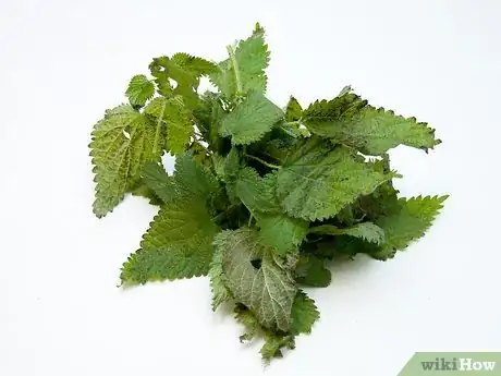 Immagine titolata Make Nettle Tea Step 5