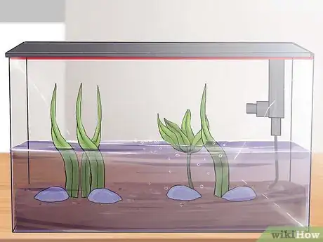 Immagine titolata Set up an Aquarium With Live Plants Step 11