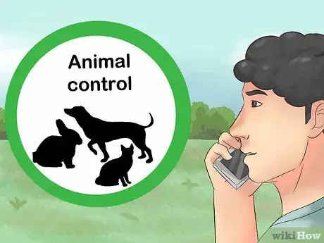 Immagine titolata Catch a Pet Rabbit Step 19