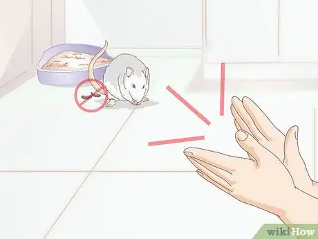 Immagine titolata Litterbox Train Your Rat Step 6