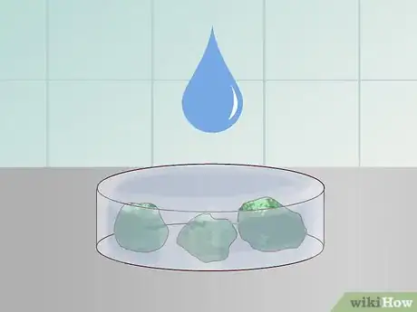 Immagine titolata Find and Care for a Pet Tardigrade (Water Bear) Step 10