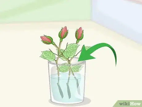 Immagine titolata Take Rose Cuttings Step 2