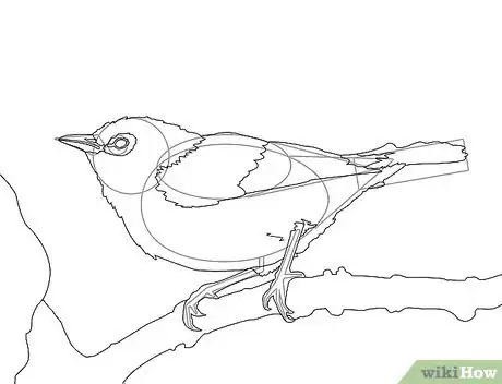 Immagine titolata Draw a Bird Step 10