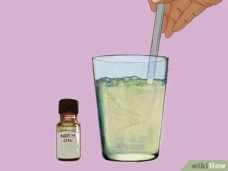 Immagine titolata Get Rid of Chicken Mites Step 13